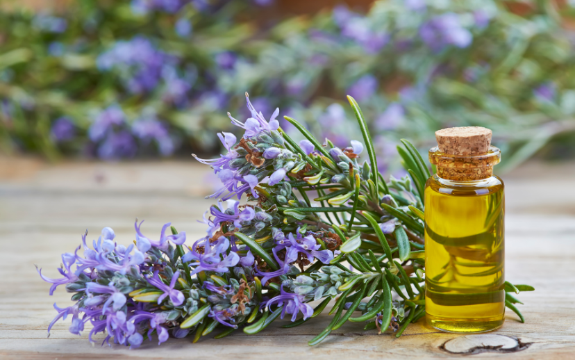 Why Rosemary and 1% Biotin Are a Game-Changer for Hair Fall Control