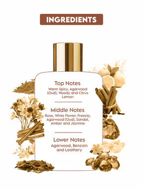 Clensta Oud Eau De Parfum