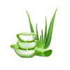 Aloe Vera Extract
