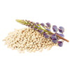 Hydrolyzed Lupine Protein