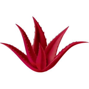 Red Aloe Vera Hydrating Face Moisturizer With 1% Rosehip Extract & 1% Hyaluronic Acid