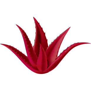 Red Aloe Vera Hydrating Face Moisturizer With 1% Rosehip Extract & 1% Hyaluronic Acid