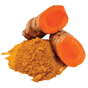 Turmeric Essential Oil