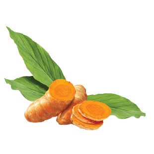 Turmeric Essential Oil