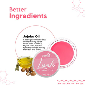 Lush Lip, Cheek & Eye Tint- Fiery Pink